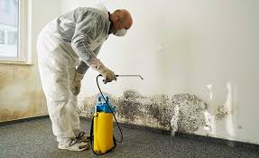 Douglass, KS Mold Removal & Remediation Company